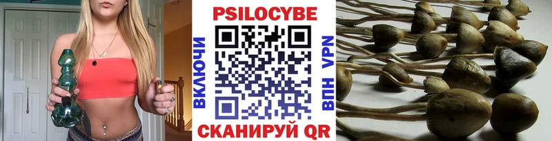 Галлюциногенные грибы MAGIC MUSHROOMS  как найти закладки  Кадников 